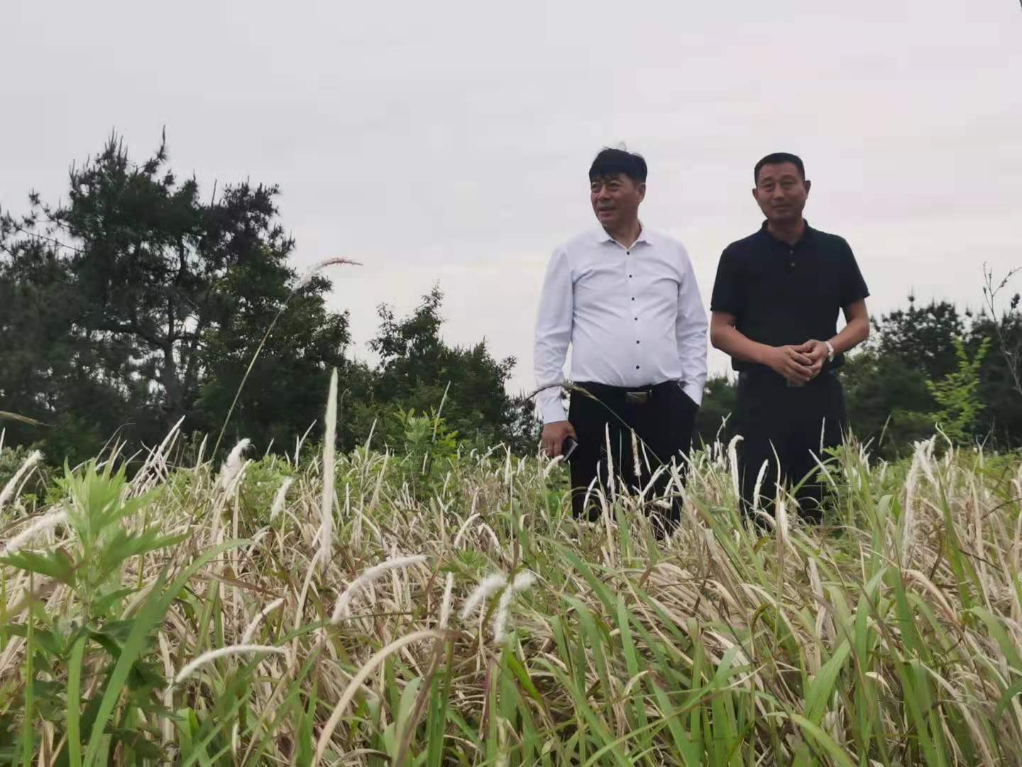 澳门正版图库资料
